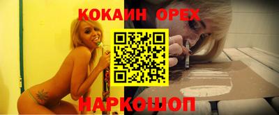Альфа ПВП Будённовск