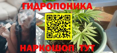 сатива Бузулук