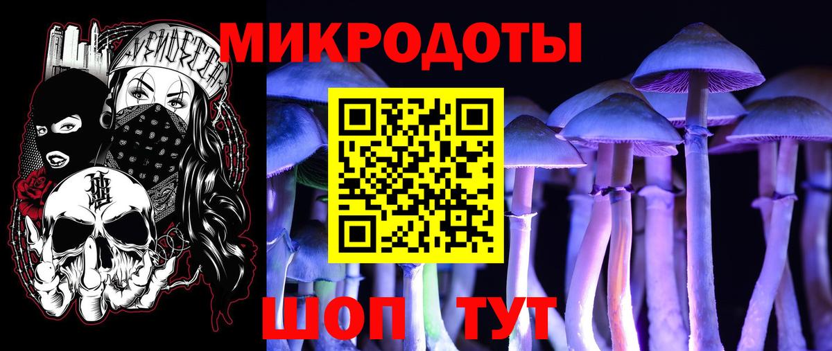 Муром  Псилоцибиновые грибы прущие грибы  купить закладку  Галлюциногенные грибы Psilocybine cubensis  Вход с VPN 