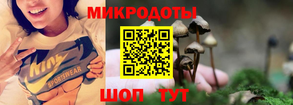 Псилоцибиновые грибы ЛСД Муром